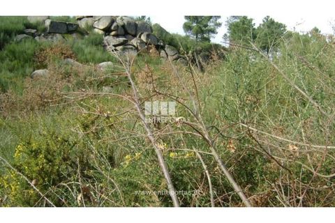 Helårsgrund i Banho e Carvalhosa, Porto, Banho e Carvalhosa - € 51.000 | Ref: MC08216 - foto 3