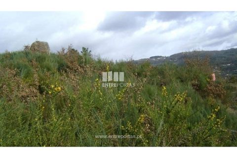 Helårsgrund i Banho e Carvalhosa, Porto, Banho e Carvalhosa - € 51.000 | Ref: MC08216 - foto 5