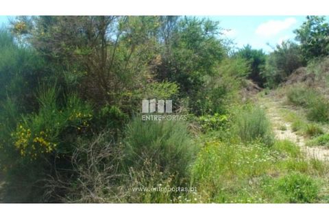Helårsgrund i Ancede e Ribadouro, Porto, Ancede e Ribadouro - € 17.500 | Ref: MC08151 - foto 1