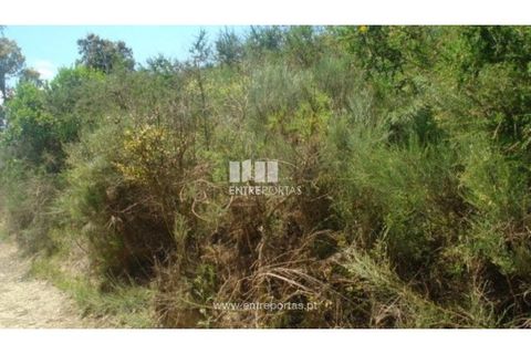 Helårsgrund i Ancede e Ribadouro, Porto, Ancede e Ribadouro - € 17.500 | Ref: MC08151 - foto 2