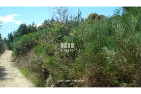 Helårsgrund i Ancede e Ribadouro, Porto, Ancede e Ribadouro - € 17.500 | Ref: MC08151 - foto 4