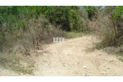 Helårsgrund i Ancede e Ribadouro, Porto, Ancede e Ribadouro - € 17.500 | Ref: MC08151 - foto 5