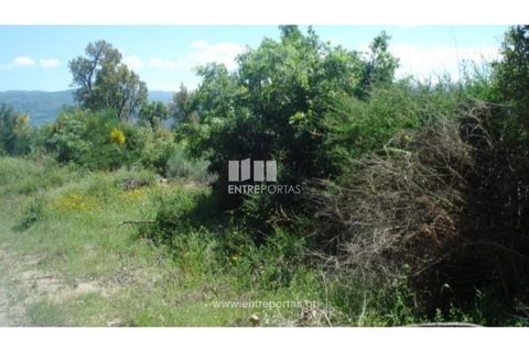 Tomt i Ancede e Ribadouro, Porto, Ancede e Ribadouro - € 22 500 | Ref: MC08152 - foto 2