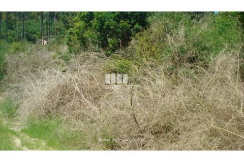 Tomt i Ancede e Ribadouro, Porto, Ancede e Ribadouro - € 22 500 | Ref: MC08152 - foto 3