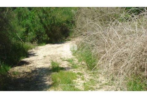 Tomt i Ancede e Ribadouro, Porto, Ancede e Ribadouro - € 22 500 | Ref: MC08152 - foto 4
