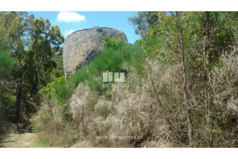 Tomt i Ancede e Ribadouro, Porto, Ancede e Ribadouro - € 22 500 | Ref: MC08152 - foto 5