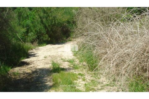 Tomt i Ancede e Ribadouro, Porto, Ancede e Ribadouro - € 22 500 | Ref: MC08152 - foto 6