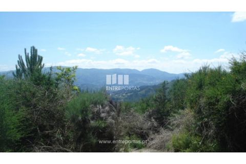 Tomt i Ancede e Ribadouro, Porto, Ancede e Ribadouro - € 22 500 | Ref: MC08152 - foto 7