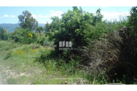Tomt i Ancede e Ribadouro, Porto, Ancede e Ribadouro - € 22 500 | Ref: MC08152 - foto 8