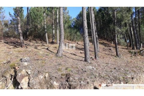 Helårsgrund i Baiao, Porto, Baiao - € 16.000 | Ref: MC08279 - foto 2