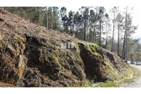 Helårsgrund i Baiao, Porto, Baiao - € 16.000 | Ref: MC08279 - foto 4