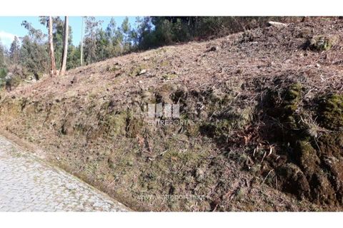 Helårsgrund i Baiao, Porto, Baiao - € 16.000 | Ref: MC08279 - foto 5