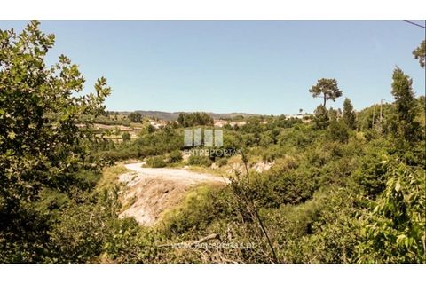 Grond in Ancede e Ribadouro, Porto, Ancede e Ribadouro - € 37.500 | Ref: MC08297 - foto 1