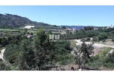 Grond in Ancede e Ribadouro, Porto, Ancede e Ribadouro - € 37.500 | Ref: MC08297 - foto 2