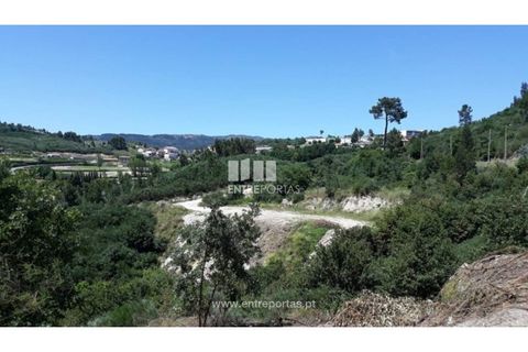 Grond in Ancede e Ribadouro, Porto, Ancede e Ribadouro - € 37.500 | Ref: MC08297 - foto 3