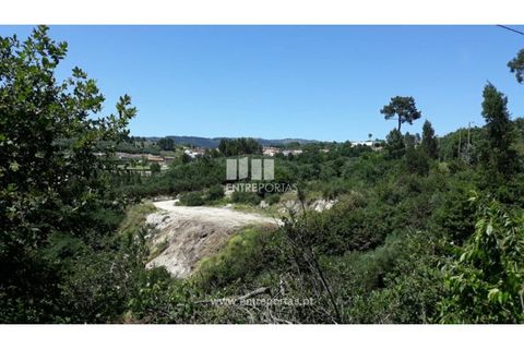 Grond in Ancede e Ribadouro, Porto, Ancede e Ribadouro - € 37.500 | Ref: MC08297 - foto 4