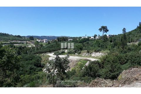 Grond in Ancede e Ribadouro, Porto, Ancede e Ribadouro - € 37.500 | Ref: MC08297 - foto 5