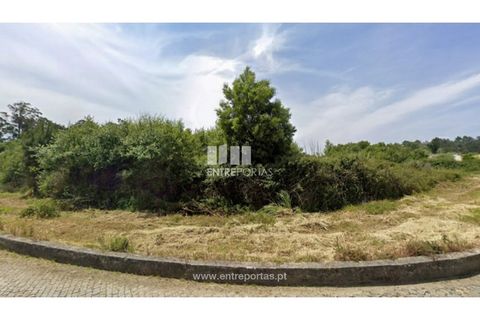 Helårsgrund i Vila do Conde, Porto, Vila do Conde - € 1.000.000 | Ref: VC02125 - foto 8