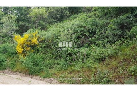 Terra a Ancede e Ribadouro, Porto, Ancede e Ribadouro - € 8.000 | Ref: MC08282 - foto 11