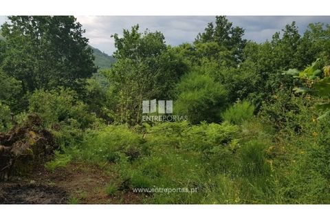 Helårsgrund i Ancede e Ribadouro, Porto, Ancede e Ribadouro - € 17.500 | Ref: MC08283 - foto 3