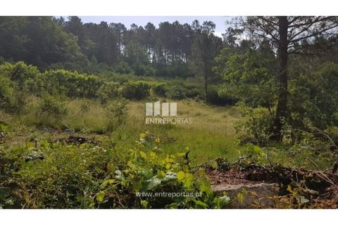 Helårsgrund i Ancede e Ribadouro, Porto, Ancede e Ribadouro - € 17.500 | Ref: MC08283 - foto 4