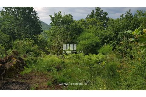 Helårsgrund i Ancede e Ribadouro, Porto, Ancede e Ribadouro - € 17.500 | Ref: MC08283 - foto 20