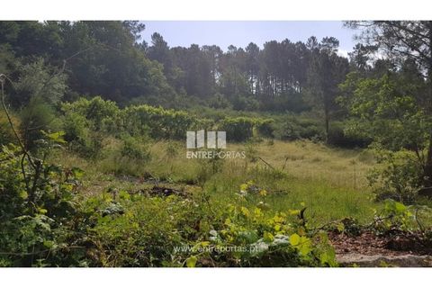 Helårsgrund i Ancede e Ribadouro, Porto, Ancede e Ribadouro - € 17.500 | Ref: MC08283 - foto 21