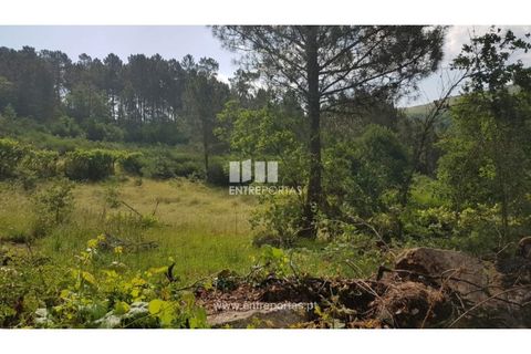 Helårsgrund i Ancede e Ribadouro, Porto, Ancede e Ribadouro - € 17.500 | Ref: MC08283 - foto 28