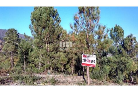 Helårsgrund i Baiao, Porto, Baiao - € 27.000 | Ref: MC08291 - foto 3