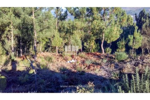 Helårsgrund i Baiao, Porto, Baiao - € 27.000 | Ref: MC08291 - foto 4