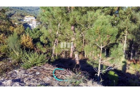 Helårsgrund i Baiao, Porto, Baiao - € 27.000 | Ref: MC08291 - foto 5