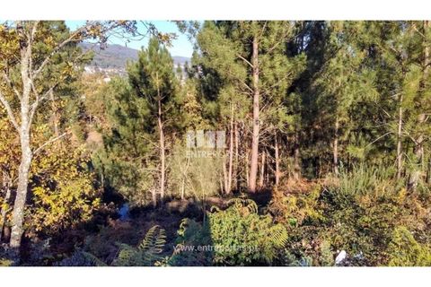 Helårsgrund i Baiao, Porto, Baiao - € 27.000 | Ref: MC08291 - foto 6