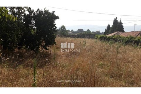 Tomt i Gestaco, Porto, Gestaco - € 57 000 | Ref: MC08386 - foto 3