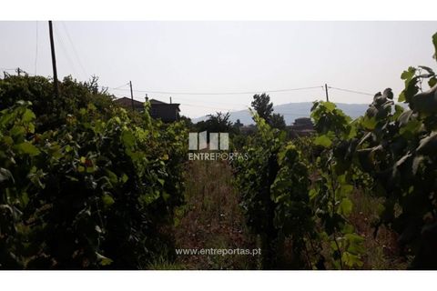 Tomt i Gestaco, Porto, Gestaco - € 57 000 | Ref: MC08386 - foto 5