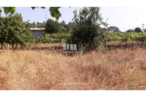 Tomt i Gestaco, Porto, Gestaco - € 57 000 | Ref: MC08386 - foto 6