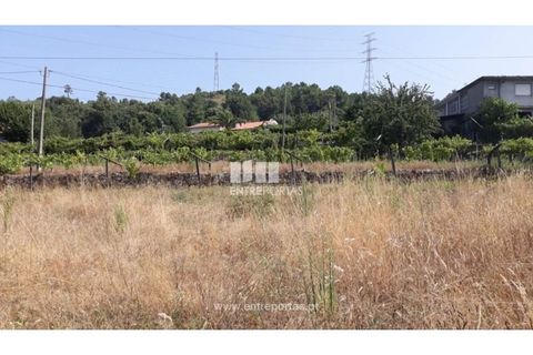 Tomt i Gestaco, Porto, Gestaco - € 57 000 | Ref: MC08386 - foto 7