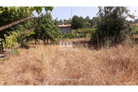 Tomt i Gestaco, Porto, Gestaco - € 57 000 | Ref: MC08386 - foto 8