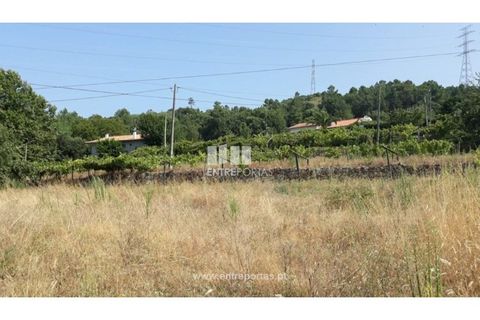 Tomt i Gestaco, Porto, Gestaco - € 57 000 | Ref: MC08386 - foto 10