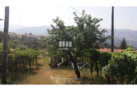 Tomt i Gestaco, Porto, Gestaco - € 57 000 | Ref: MC08386 - foto 11