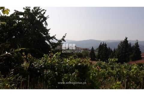 Tomt i Gestaco, Porto, Gestaco - € 57 000 | Ref: MC08386 - foto 13