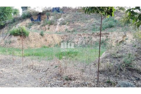 Terra a Venade e Azevedo, Viana do Castelo, Venade e Azevedo - € 69.500 | Ref: VCC12516 - foto 2