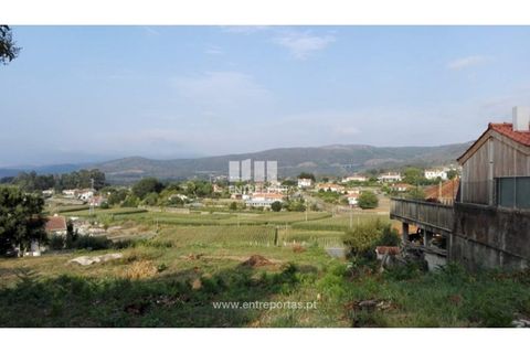 Terra a Venade e Azevedo, Viana do Castelo, Venade e Azevedo - € 69.500 | Ref: VCC12516 - foto 3