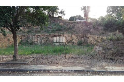 Terra a Venade e Azevedo, Viana do Castelo, Venade e Azevedo - € 69.500 | Ref: VCC12516 - foto 4
