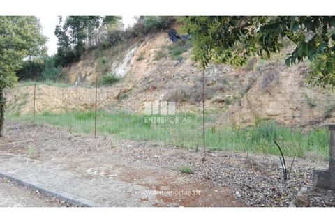 Terra a Venade e Azevedo, Viana do Castelo, Venade e Azevedo - € 69.500 | Ref: VCC12516 - foto 5