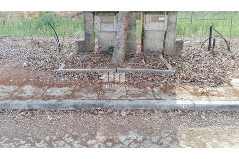 Terra a Venade e Azevedo, Viana do Castelo, Venade e Azevedo - € 69.500 | Ref: VCC12516 - foto 6