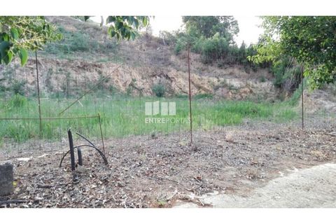 Terra a Venade e Azevedo, Viana do Castelo, Venade e Azevedo - € 69.500 | Ref: VCC12516 - foto 7