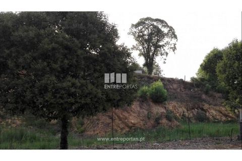 Terra a Venade e Azevedo, Viana do Castelo, Venade e Azevedo - € 69.500 | Ref: VCC12516 - foto 8