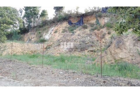 Terra a Venade e Azevedo, Viana do Castelo, Venade e Azevedo - € 69.500 | Ref: VCC12516 - foto 9