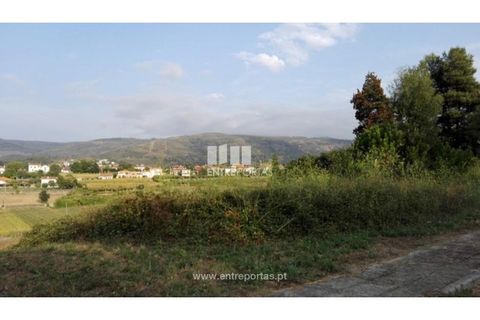 Terra a Venade e Azevedo, Viana do Castelo, Venade e Azevedo - € 69.500 | Ref: VCC12516 - foto 10