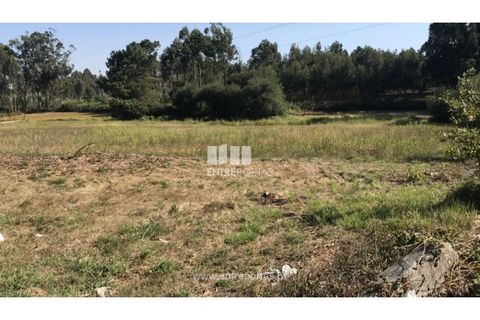 Helårsgrund i Barcelos, Braga, Barcelos - € 50.000 | Ref: PV08672 - foto 1